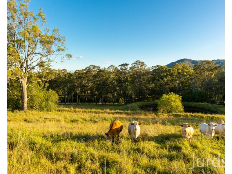 658 De Beyers Road, Pokolbin NSW 2320