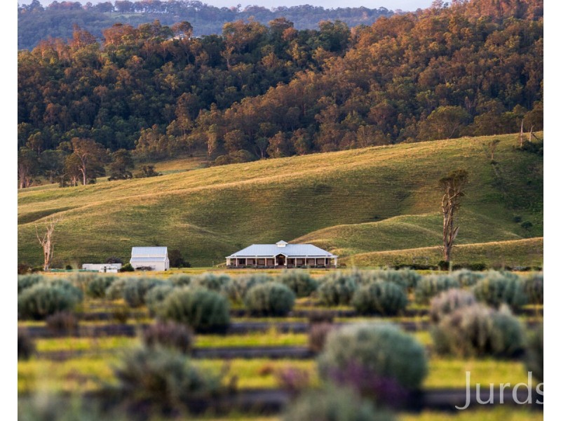 232A Fernhill Road, Dalwood NSW 2335