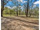 42 Green Grove, Sedgefield NSW 2330