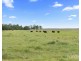 181A Roughit Lane, Sedgefield NSW 2330