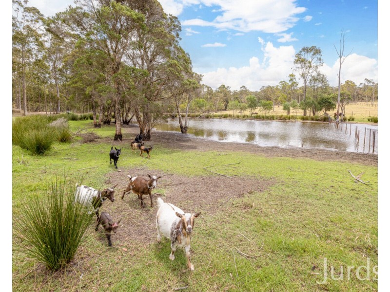 107 Abernethy Street, Kitchener NSW 2325