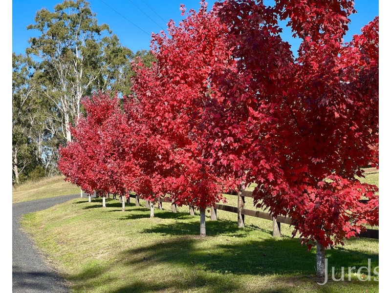 4190 Great North Road, Laguna NSW 2325