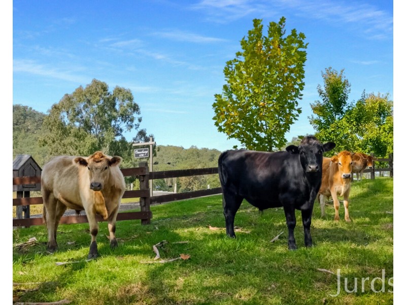 4190 Great North Road, Laguna NSW 2325