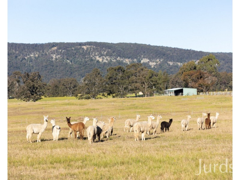 295 Swans Lane, Quorrobolong NSW 2325