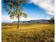 40 Mistletoe Lane, Pokolbin NSW 2320