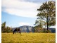 40 Mistletoe Lane, Pokolbin NSW 2320