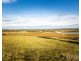 40 Mistletoe Lane, Pokolbin NSW 2320