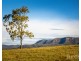 40 Mistletoe Lane, Pokolbin NSW 2320