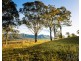 40 Mistletoe Lane, Pokolbin NSW 2320