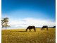 40 Mistletoe Lane, Pokolbin NSW 2320