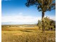 40 Mistletoe Lane, Pokolbin NSW 2320