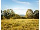 40 Mistletoe Lane, Pokolbin NSW 2320