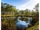 40 Mistletoe Lane, Pokolbin NSW 2320