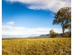 40 Mistletoe Lane, Pokolbin NSW 2320