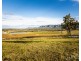 40 Mistletoe Lane, Pokolbin NSW 2320