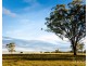 40 Mistletoe Lane, Pokolbin NSW 2320