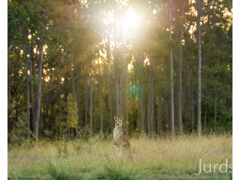 Big Ridge Estate Big Ridge Lane, Sedgefield NSW 2330