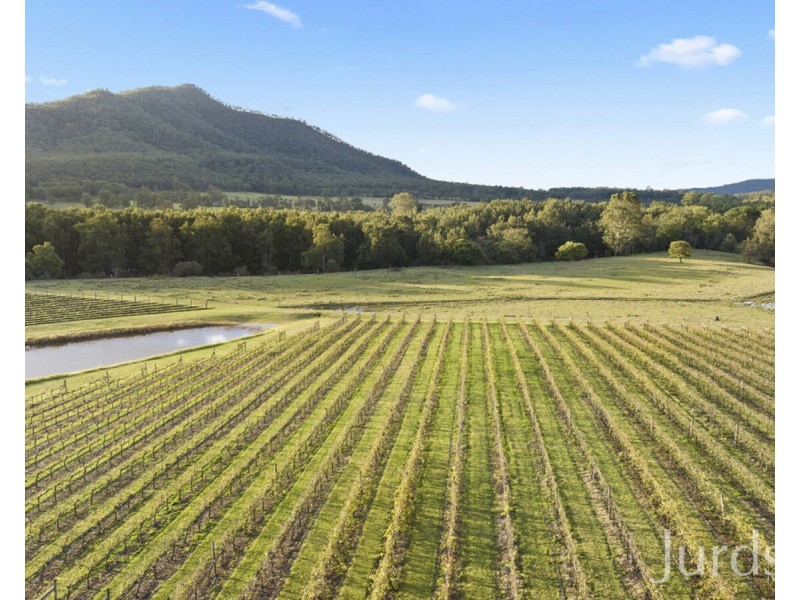 658 Wollombi Road, Broke NSW 2330