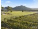 658 Wollombi Road, Broke NSW 2330