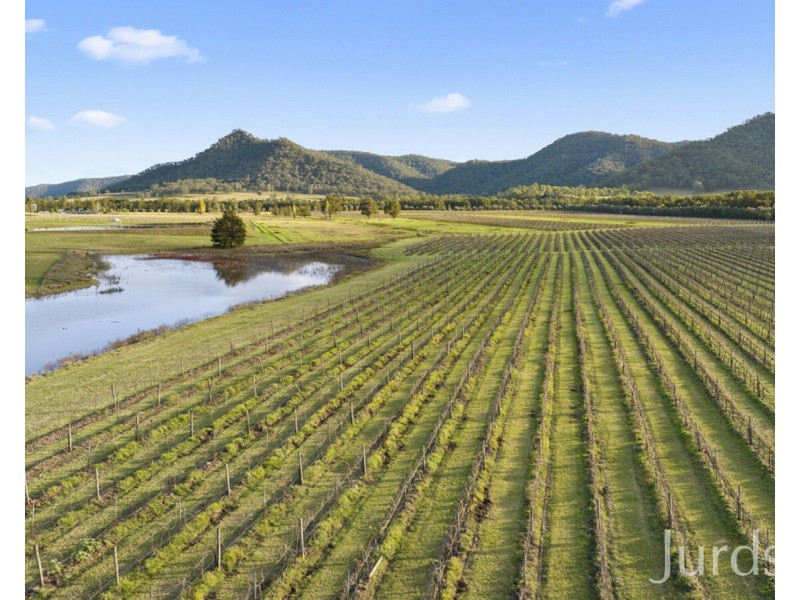 658 Wollombi Road, Broke NSW 2330