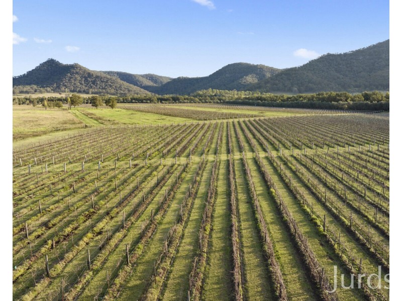 658 Wollombi Road, Broke NSW 2330