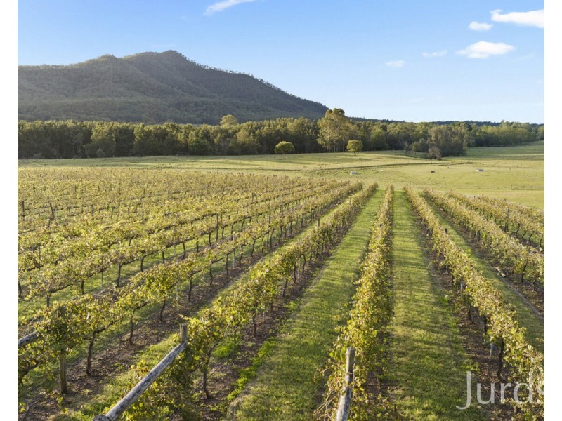 658 Wollombi Road, Broke NSW 2330