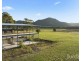 658 Wollombi Road, Broke NSW 2330