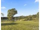 658 Wollombi Road, Broke NSW 2330