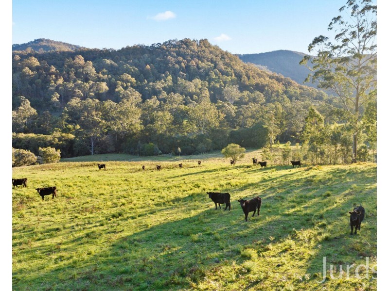 1101 Congewai Road, Congewai NSW 2325