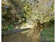 1101 Congewai Road, Congewai NSW 2325