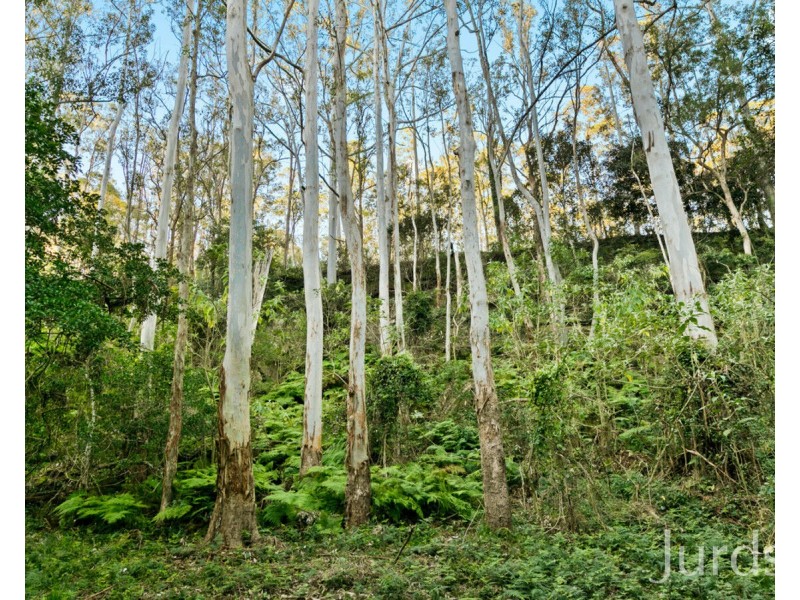 1101 Congewai Road, Congewai NSW 2325