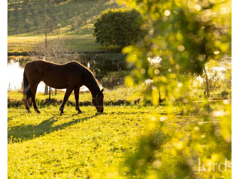 310 Talga Road, Lovedale NSW 2325