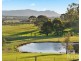 310 Talga Road, Lovedale NSW 2325