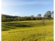 310 Talga Road, Lovedale NSW 2325