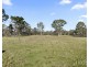 46 Frame Drive, Abermain NSW 2326