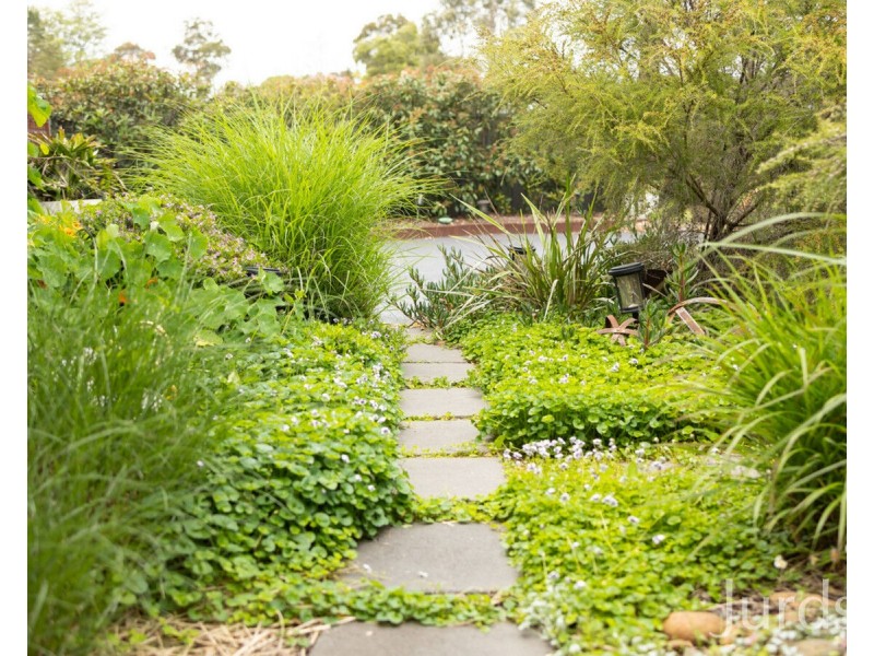 30-32 Wollombi Road, Millfield NSW 2325