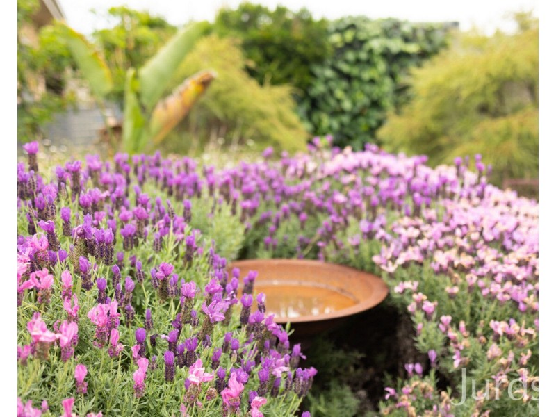 30-32 Wollombi Road, Millfield NSW 2325