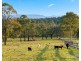 85 Marrowbone Road, Pokolbin NSW 2320