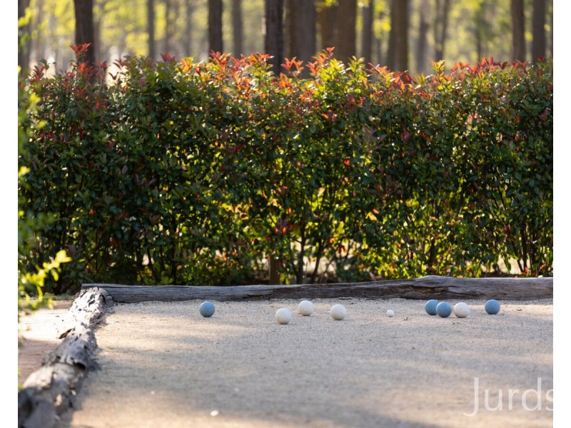 5 Green Lane, Lovedale NSW 2325