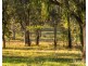 Wisemans Way, Sedgefield NSW 2330