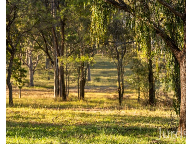 Wisemans Way, Sedgefield NSW 2330