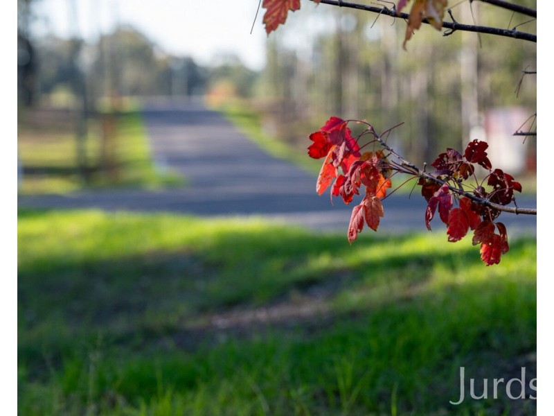 Wisemans Way, Sedgefield NSW 2330