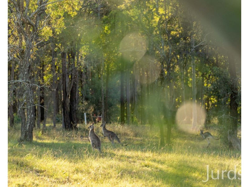 Wisemans Way, Sedgefield NSW 2330