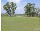 339 Talga Road, Lovedale NSW 2325