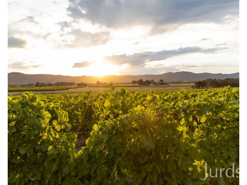 1297 C Broke Road, Broke NSW 2330