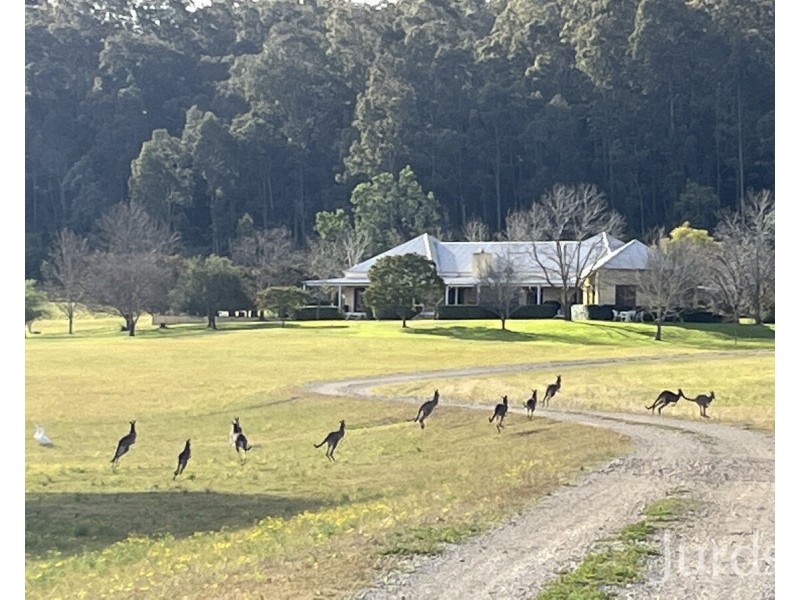 1297 C Broke Road, Broke NSW 2330