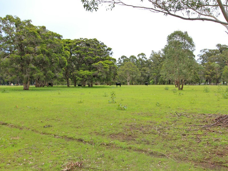 19 Brickmans Lane, Lovedale NSW 2325