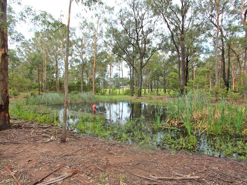 19 Brickmans Lane, Lovedale NSW 2325