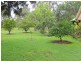 19 Brickmans Lane, Lovedale NSW 2325
