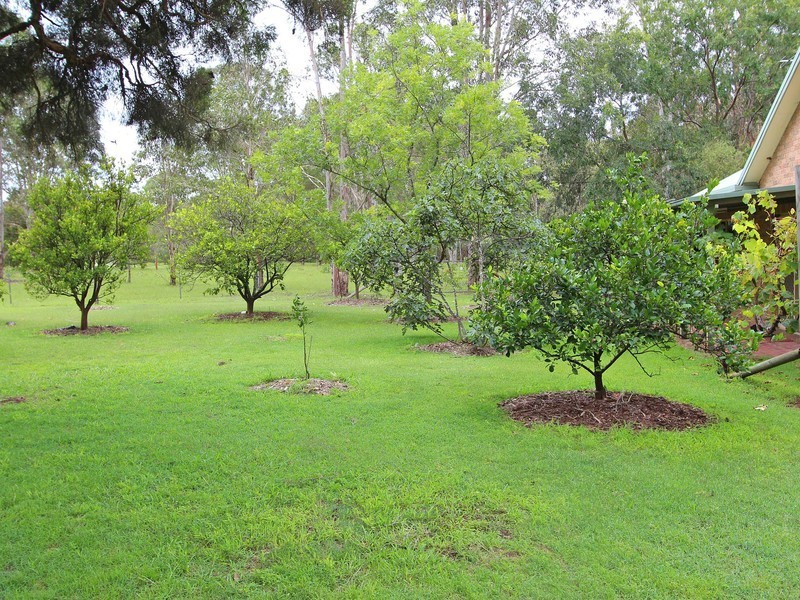 19 Brickmans Lane, Lovedale NSW 2325